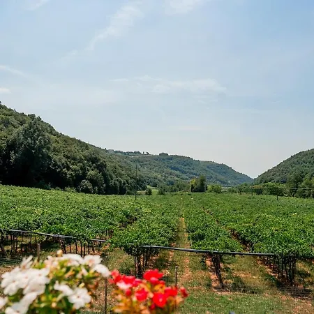 Lejlighed Vaio Nest Elegante Rifugio Tra I Vigneti Mezzane di Sotto